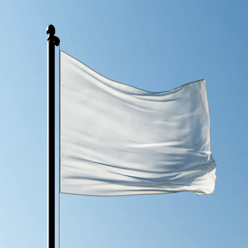 flag mockup