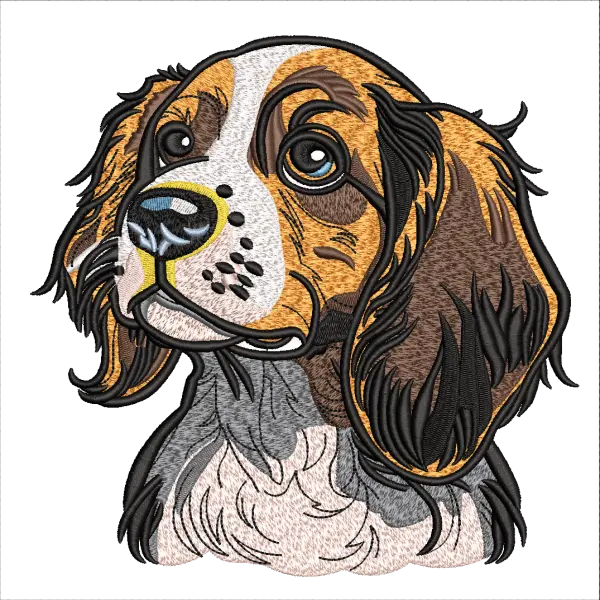 American cocker spaniel dog